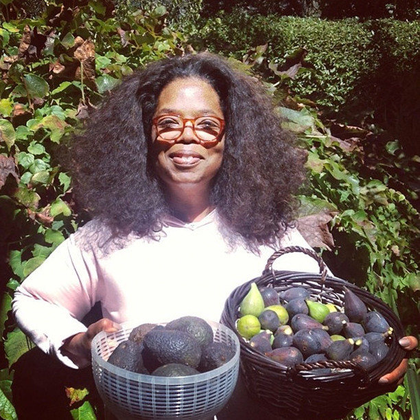 instagram-oprah-avocado1.jpg