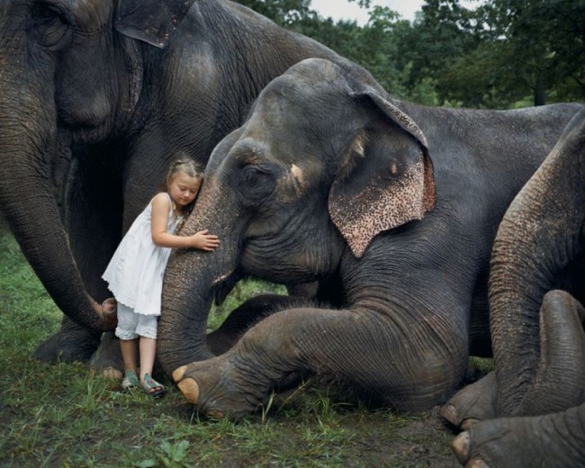 Дружба девочки и диких животных, запечатленная в фотографиях ее мамы
