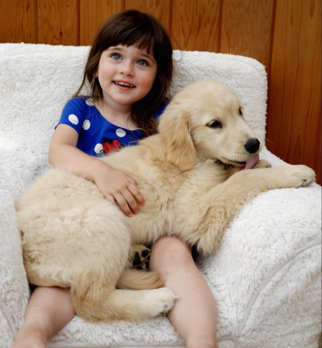 Друг человека: 8 лучших пород собак для детей