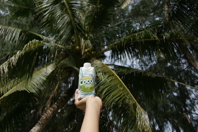 10 причин, по которым вам и вашим детям надо пить кокосовую воду