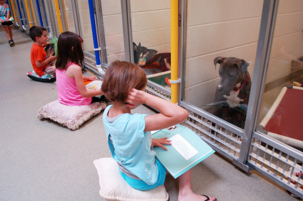 Дети читают собакам в приюте, чтобы успокоить и утешить их