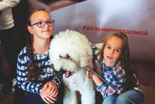 ​Впервые в Москве состоится фестиваль домашних животных и их хозяев «Petshop Days»